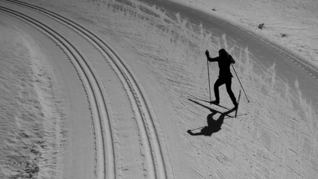 Cross country Skiing