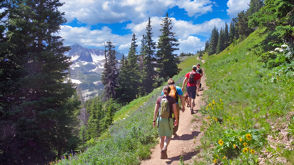 Ouray Naturalist Hikes