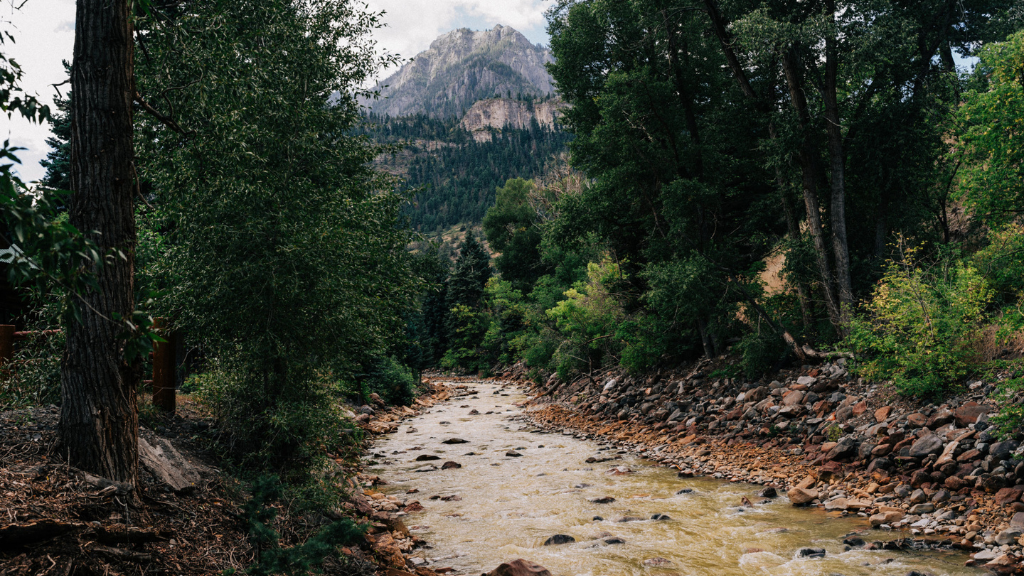 PixelPineImageryCo - Beaumont Hotel A rocky river runs through a dense forest, with a distant mountain peak visible above the treeline.
